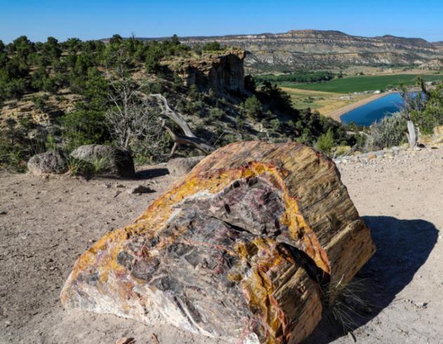 Canyons Of Escalante Rv Park Zewnętrze zdjęcie