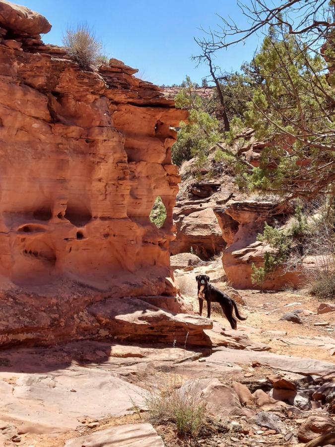 Canyons Of Escalante Rv Park Zewnętrze zdjęcie
