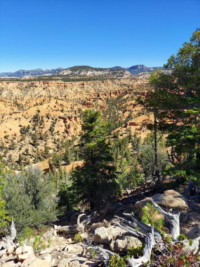 Canyons Of Escalante Rv Park Zewnętrze zdjęcie